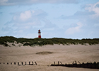 Sylt