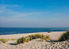 Sylt